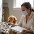 Can Changing Your Air Filter Help with Pet Allergies When Guests Visit?