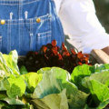 Sustainable Home Improvement With Dr. Bill Releford: a Holistic Agriculture Leader's Guide