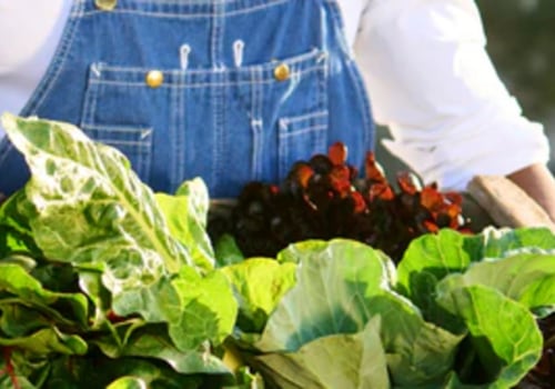 Sustainable Home Improvement With Dr. Bill Releford: a Holistic Agriculture Leader's Guide